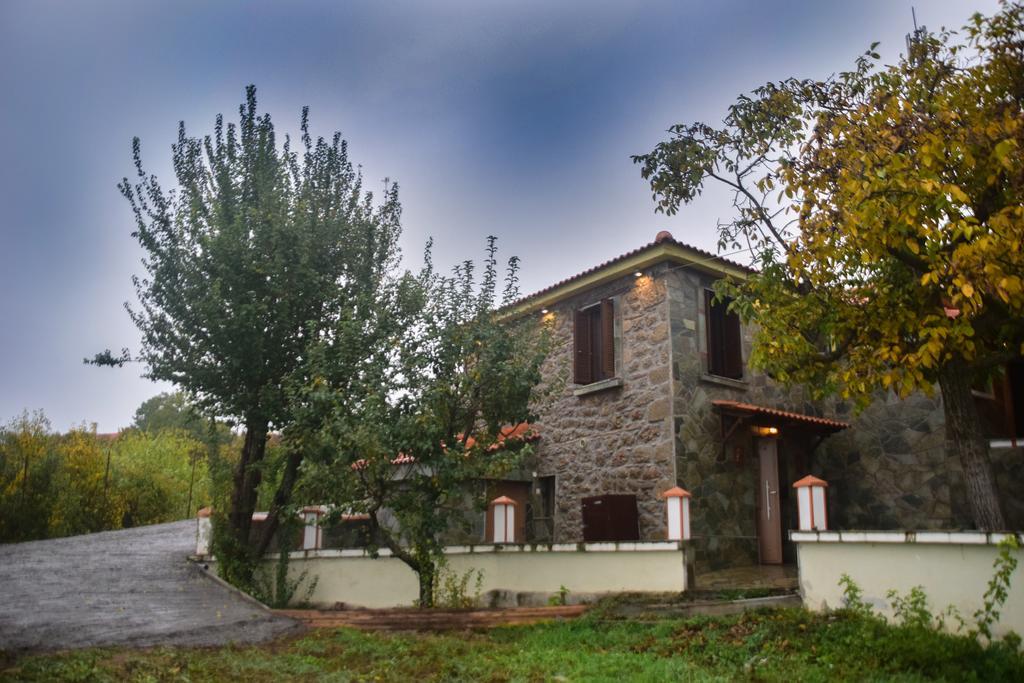 Litheon House Villa Synikia Mesi Trikalon Exterior photo