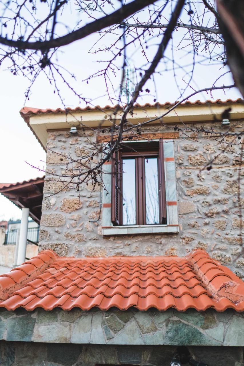 Litheon House Villa Synikia Mesi Trikalon Exterior photo