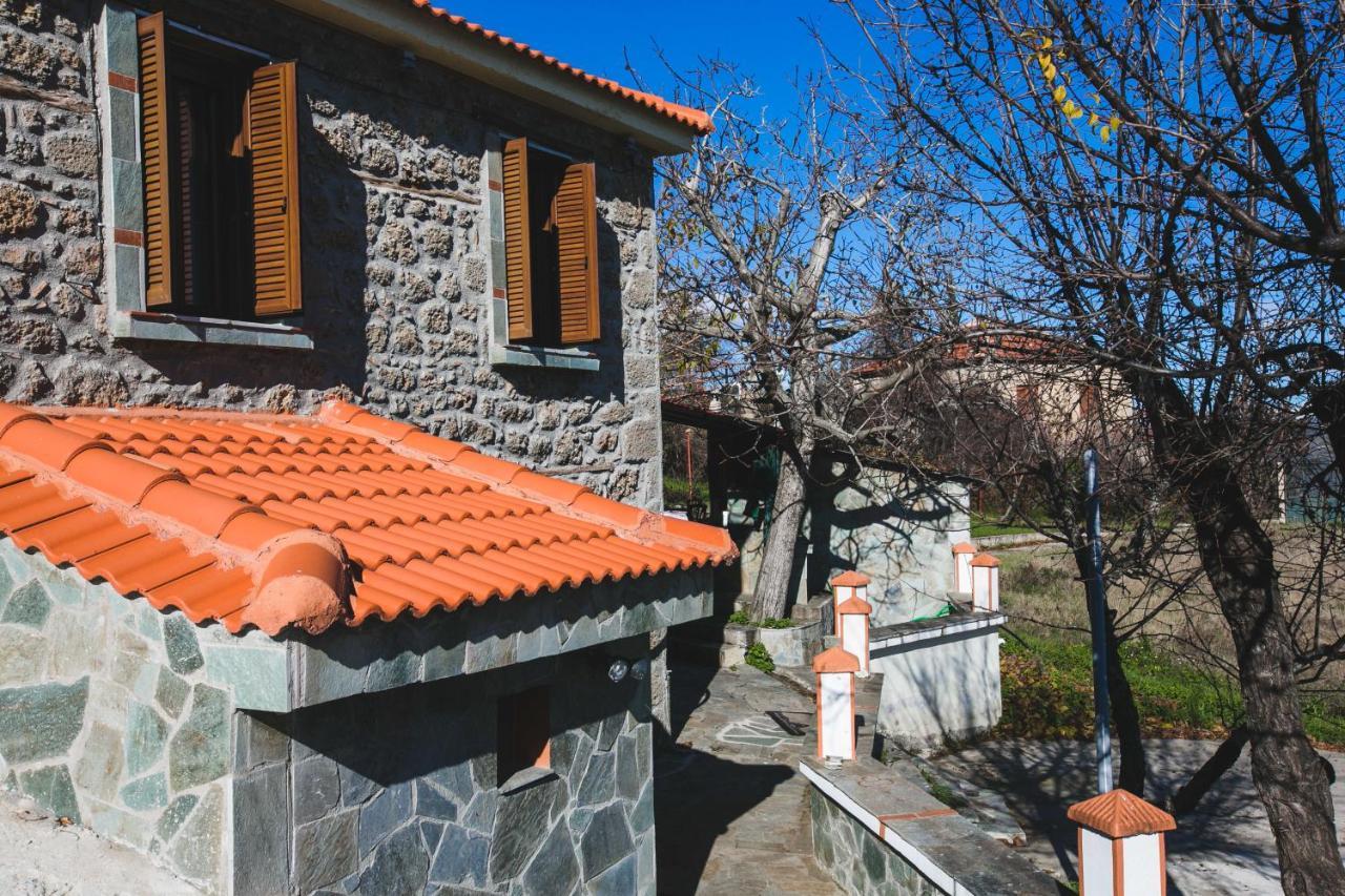 Litheon House Villa Synikia Mesi Trikalon Exterior photo